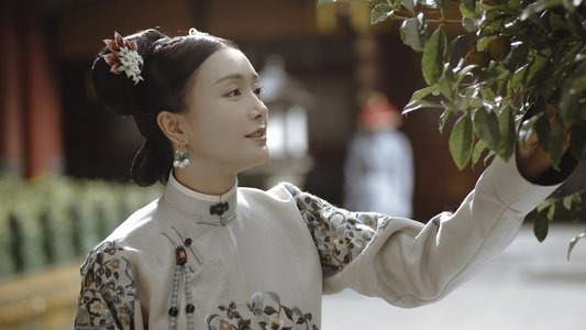 延禧攻略