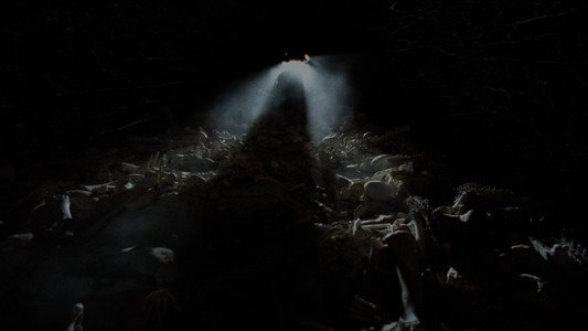 The Descent