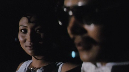 野良猫ロック　セックスハンター