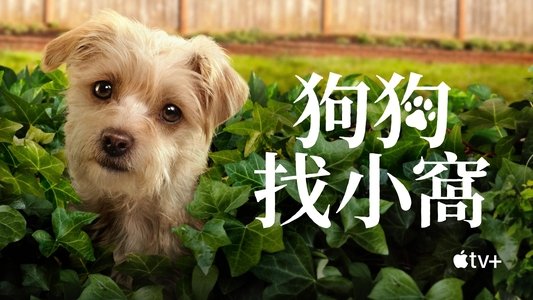 Puppy Place