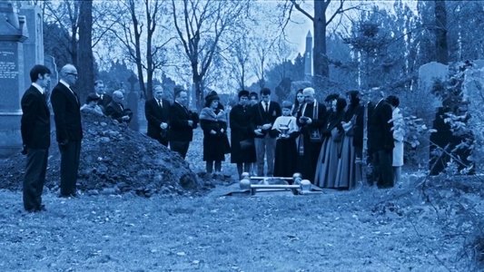Les vautours