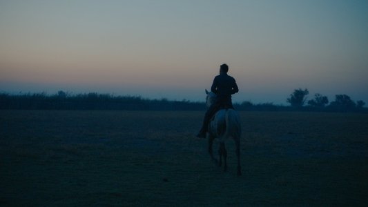 Un monde sans bêtes