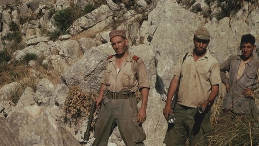 La Blessure, la tragédie des harkis