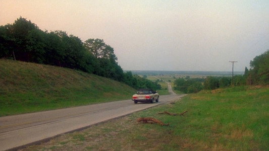 The Texas Chainsaw Massacre Part 2