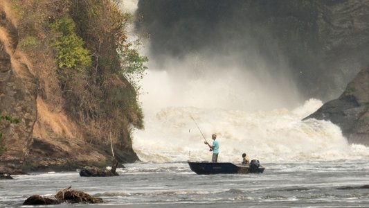 Fishing For Giants