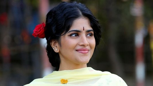 வடக்குப்பட்டி ராமசாமி