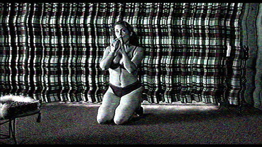 The Poughkeepsie Tapes