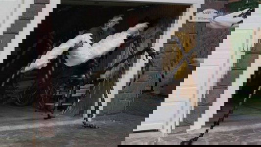 Infestation