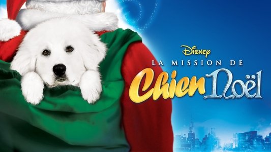 The Search for Santa Paws