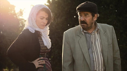 Roza