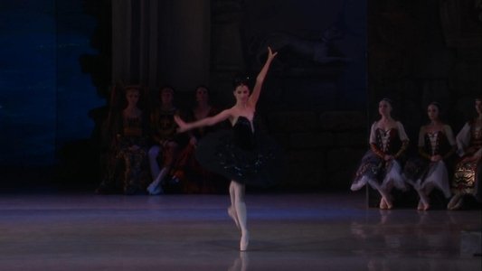 Swan Lake
