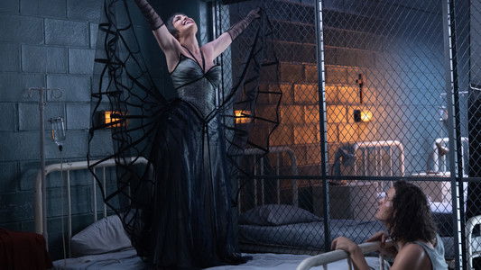 Kiss of the Spider Woman