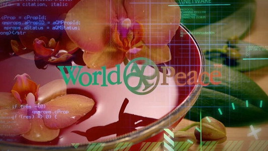 Million Dollar Extreme Presents: World Peace