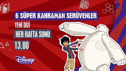 Big Hero 6 The Series