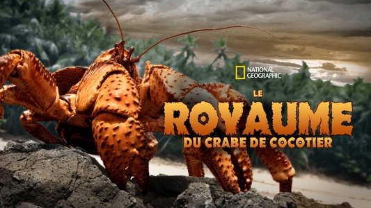 The Giant Robber Crab