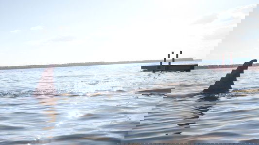 Shark Night 3D