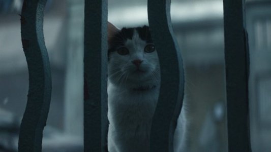 A Quiet Place: Day One