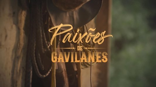 Pasión de gavilanes