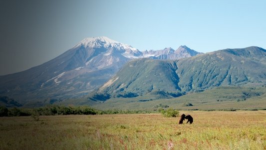 Wildes Russland