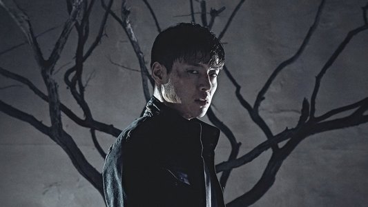 기억의 밤