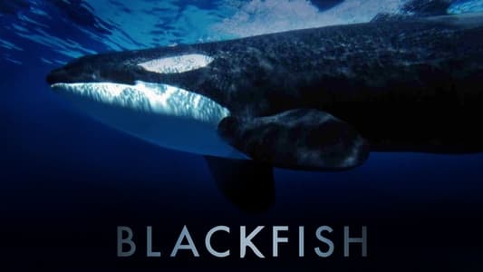 Blackfish