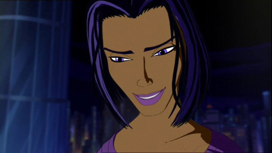 Spider-Man: The New Animated Series