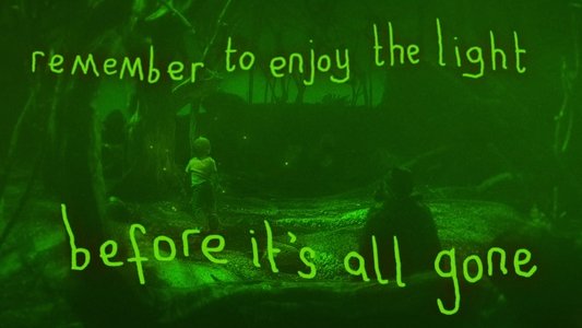 Remember To Enjoy The Light Before It’s Gone