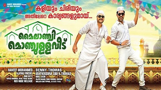 മൈലാഞ്ചി മൊഞ്ചുള്ള വീട്