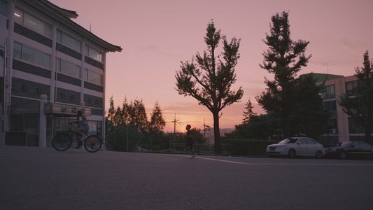 남매의 여름밤