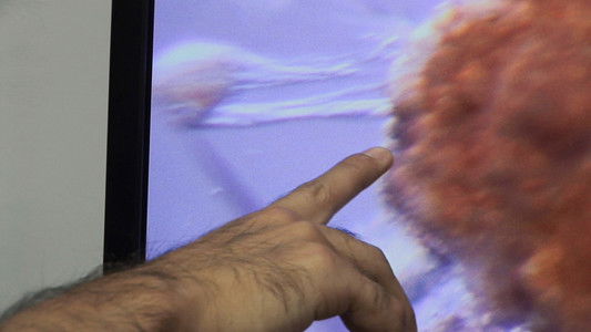 Auf der Suche nach dem Gedächtnis