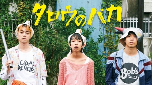 タロウのバカ