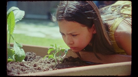 Heirloom