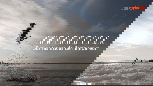 Antarctica, sur les traces de l'empereur