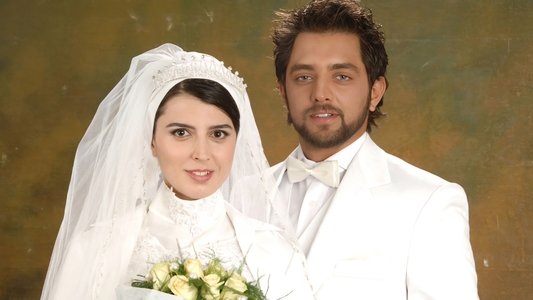 بی پولی