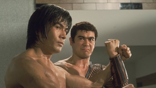 直撃! 地獄拳