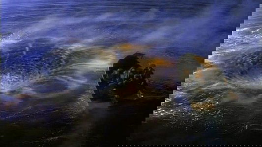 The Lake