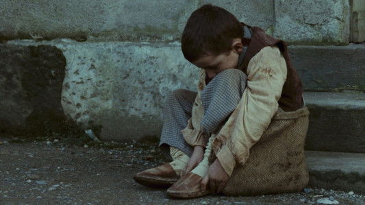 L'albero degli zoccoli