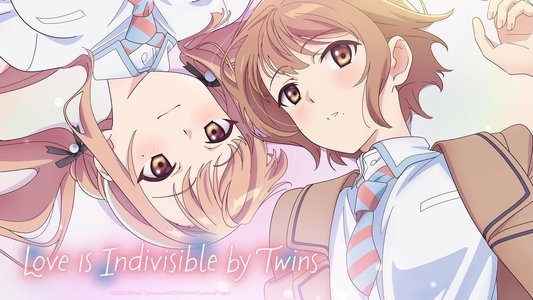 恋は双子で割り切れない