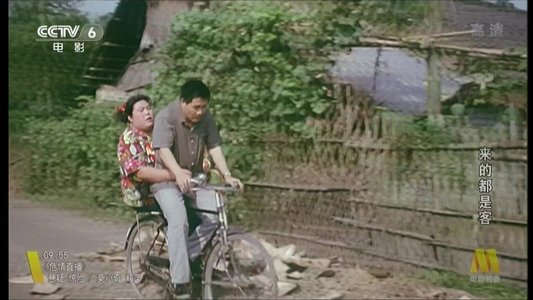 来的都是客