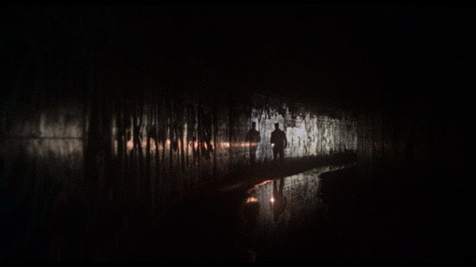 Dracula: The Night Around Us