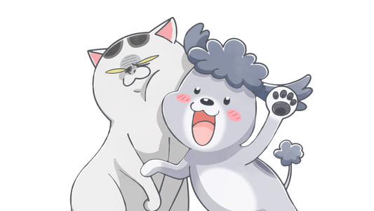 犬と猫どっちも飼ってると毎日たのしい