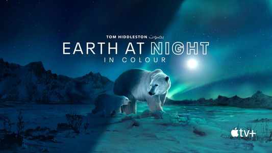 Earth at Night in Colour