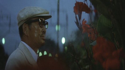 野良犬