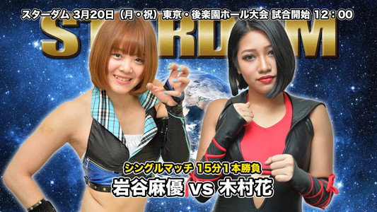 STARDOM  THE  HIGHEST2017