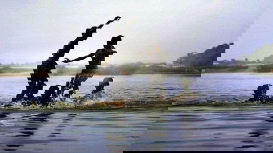 வாழை