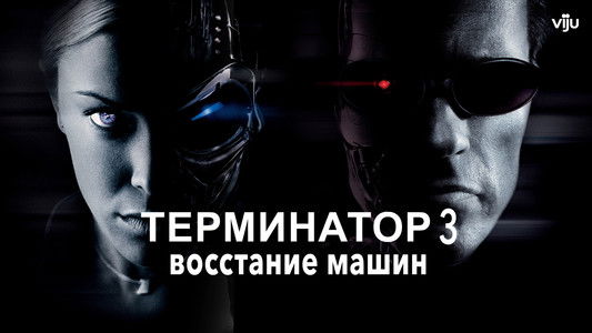Terminator 3: Rise of the Machines