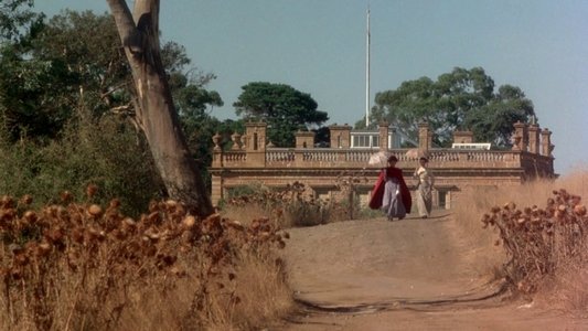 Picnic at Hanging Rock