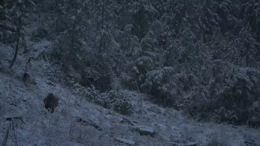 Kaatti Ri Raatti