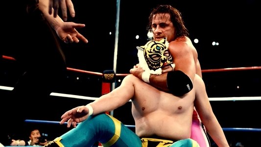 WWF/AJPW/NJPW Wrestling Summit