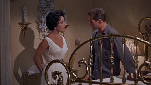 Cat on a Hot Tin Roof